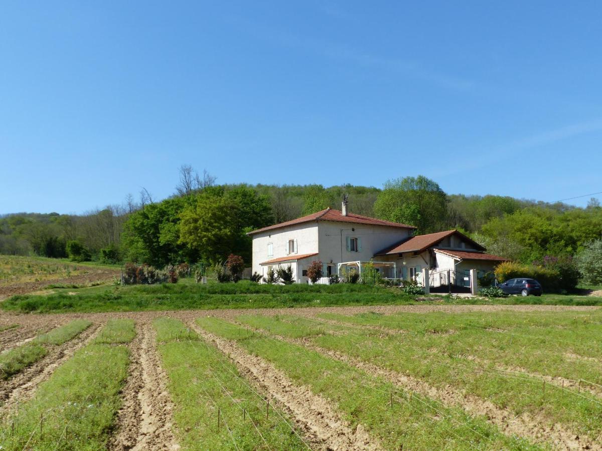 Chambre D'Hotes - Le Safran Du Val D'Or Anneyron Exteriér fotografie